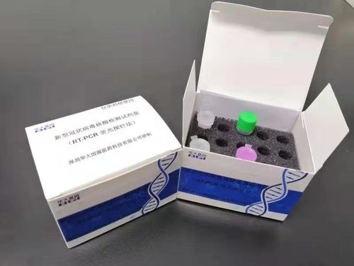 華大基因研發3小時快速新冠病毒檢測試劑盒，宣布技術轉讓推動全球抗疫